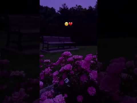 نتفكر تحكمني الرعشة اغاني هادئ اكسبلور 