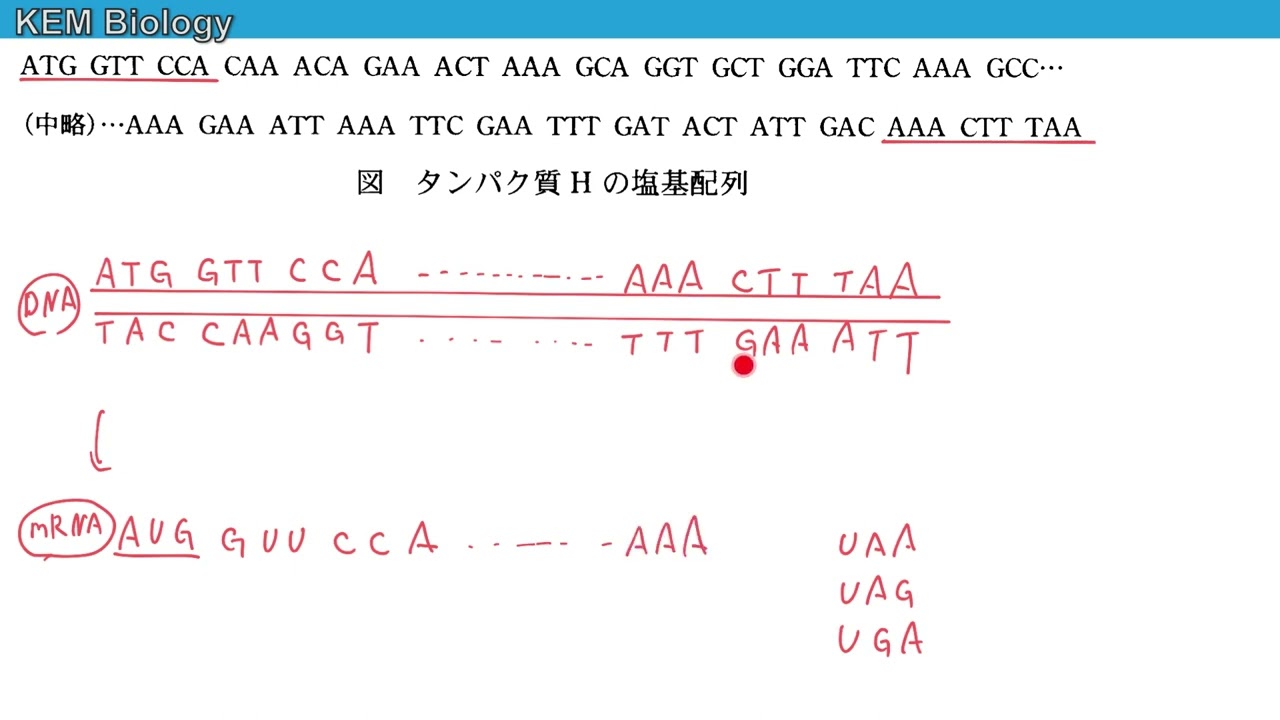 Pcr 法 わかり やすく (97) 사진