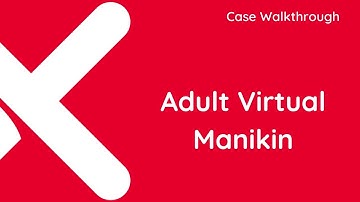 Adult Virtual Manikin