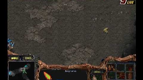 Bacchus OSL 2009  Thezerg vs GuemChi 2009-05-06  @ Outsider