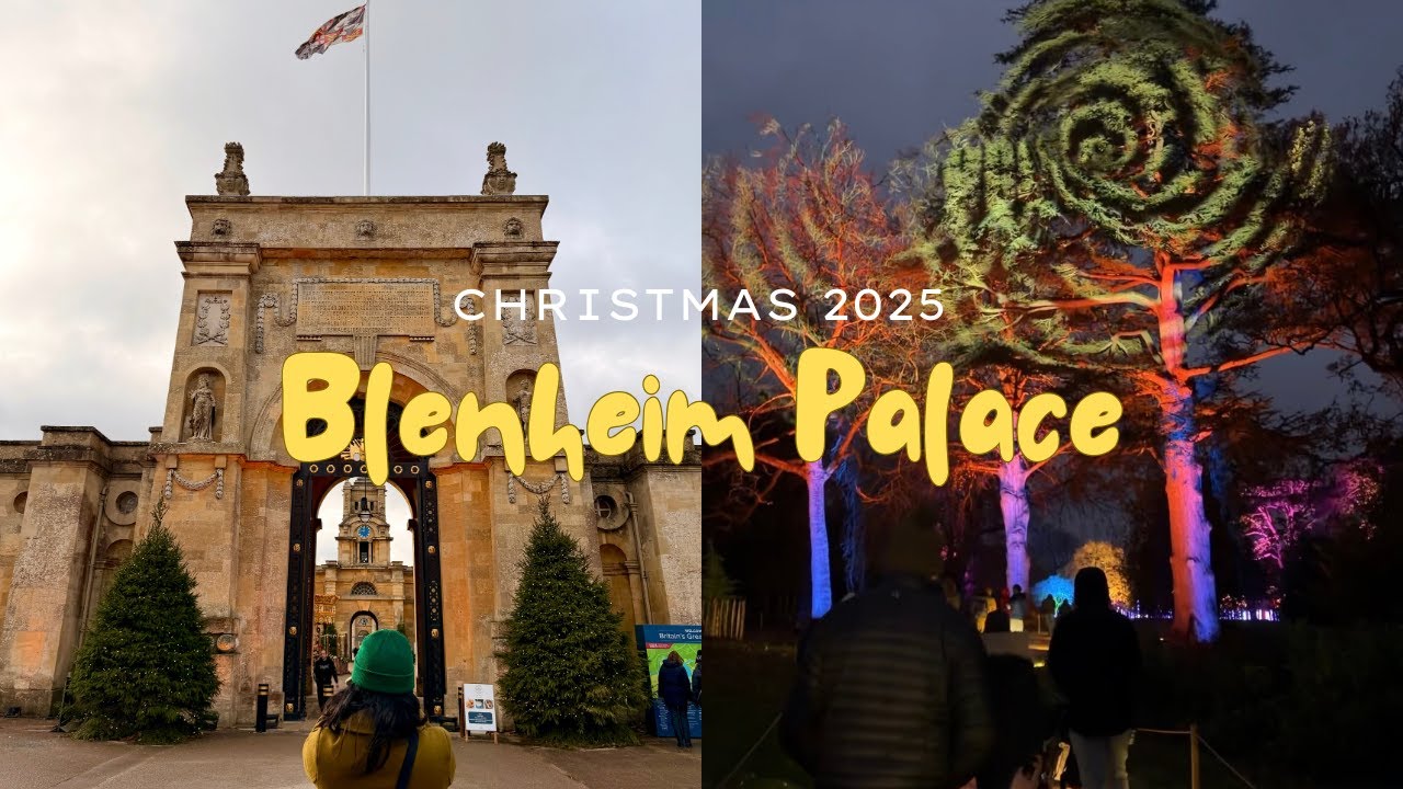 Blenheim Palace Christmas 2025 / The Orangery / Light Trail / Quick Overview