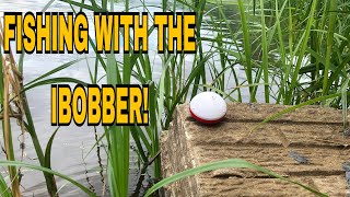 FISHING WITH, AND REVIEWING THE IBOBBER!