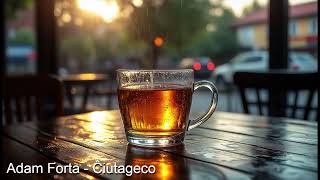 Adam Forta – Ĉiutageco [esperanto]