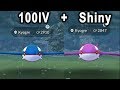 Super Lucky on Water Festival Event! 3 Shiny Kyogre, 100iv  and other water shiny!