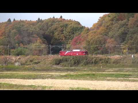 東北本線 白河-久田野 鹿島カーブ ＥＦ８１１３３ 単機回送通過 2020.11.09