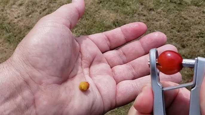 Cherry Olive Pitter Stoner Pits Seed,Fruit-Remover Core Easy Squeeze