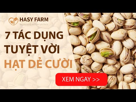 Video: Công dụng của Pistache Trung Quốc - Chăm sóc Cây Pistache của Trung Quốc trong cảnh quan