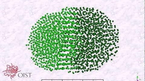 Palladium Crystallization at 1000K