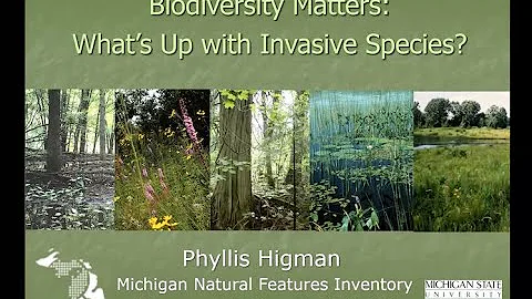 Biodiversity Matters: Whats Up with Invasive Species? - Phyllis Higman