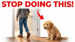 Never LEAVE Your Dog ALONE Without Doing THIS (Backed by Science)