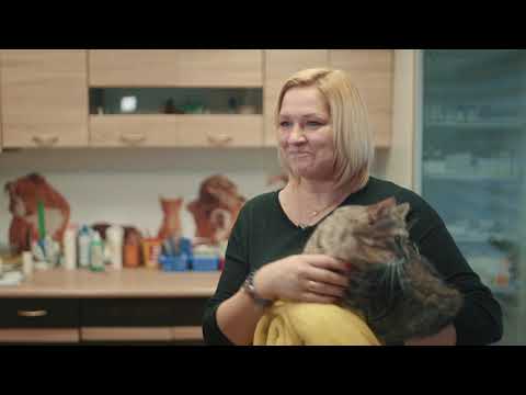 Video: Kāpēc Kaķis Steidzas Pie īpašnieka