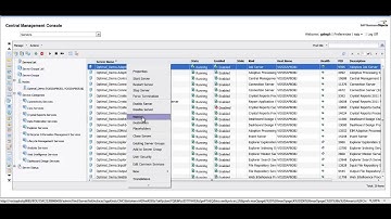 SAP BI 4.x CMC - Server Administration