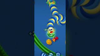 How King Cobra Kill Snake Worm