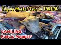 Life at a Filipino Market in CAMILING TARLAC | Camiling Public Market TOUR - Tarlac, Philippines