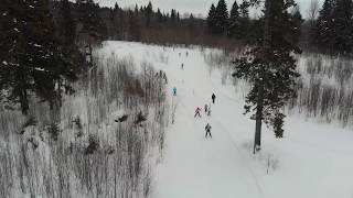 Лыжня России - Онега - Семейный забег 2019