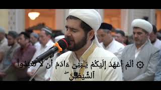 Muhammadloiq | surah Yasin 41-69 ayah