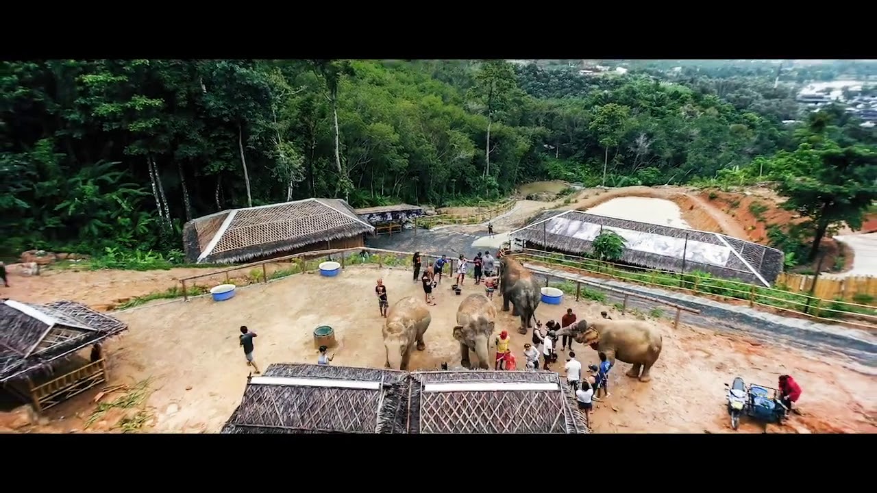 Elephant Jungle Sanctuary in 6 Seconds