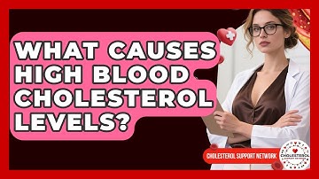 What Causes High Blood Cholesterol Levels? - Cholesterol Support Network