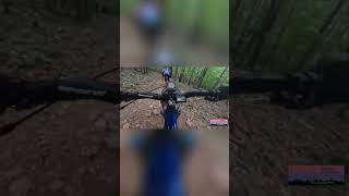 Epic Forest MTB Ride: Stage 8 Trail Adventure! #shorts
