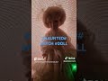 # haunted # witch# doll # k2 # meters # going off omg very powerful # youtube.com # Facebook #live