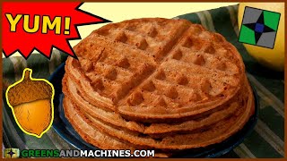 Making Waffles With Acorns