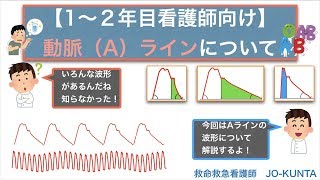 【1〜2年目看護師向け】Aラインの波形について解説❗️