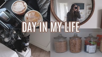VLOGMAS: trader joes grocery haul, organizing, running errands & cat mom things!