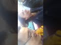 Парк Развлечений "Емеля"