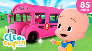 Las ruedas del bus rosa  y más canciones infantiles para bebés con Cleo y Cuquín