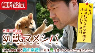 [Now available for free📺] 'Young Beast Mameshiba' Episode 6: Does a mysterious musical score hold...