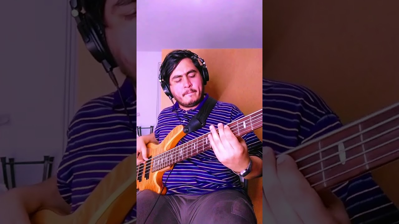 Bloody Mary | Lady GaGa [Wednesday Dance] (Bass Cover) 