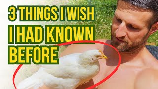 Pros and Cons of Raising LEGHORNS for EGGS on your Homestead by Kummer Homestead 540 views 3 months ago 16 minutes