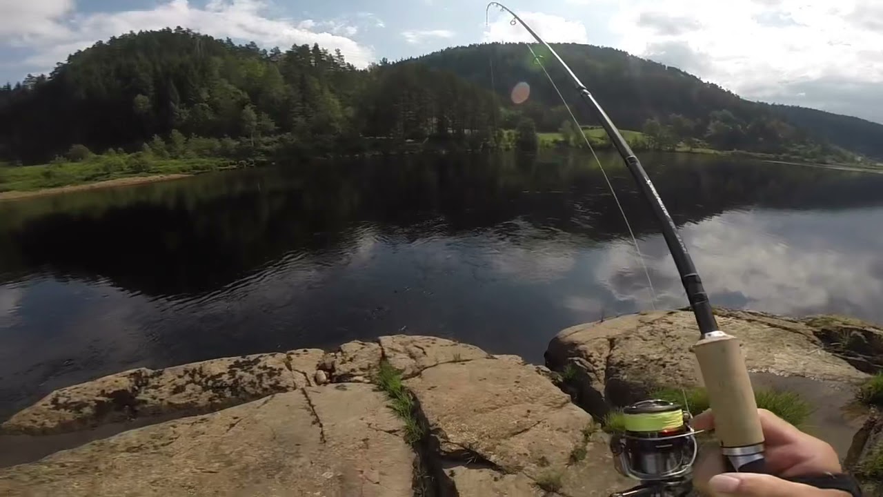 Laksefiske sone 4 mandalselva