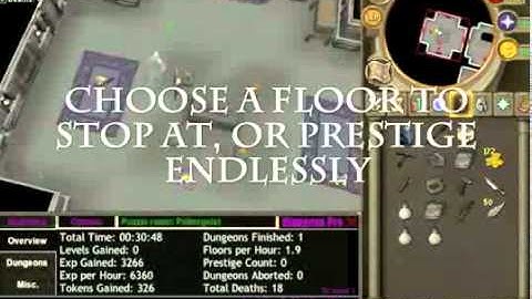 OFFICIAL iDungeon Pro - idungeonpro.com November 2013 - Runescape Dungeoneering Bot