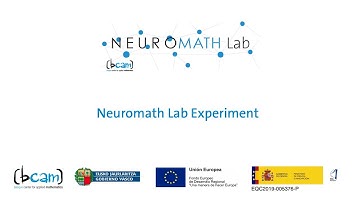 Neuromath Lab Experiment at Basque Center for Applied Mathematics - BCAM