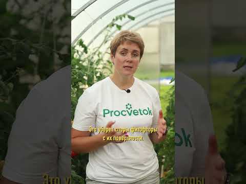 Видео: Овощни градини вместо зеленчукови градини