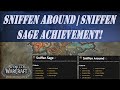 Sniffen around  sniffen sage wow achievement exploration dragon isles