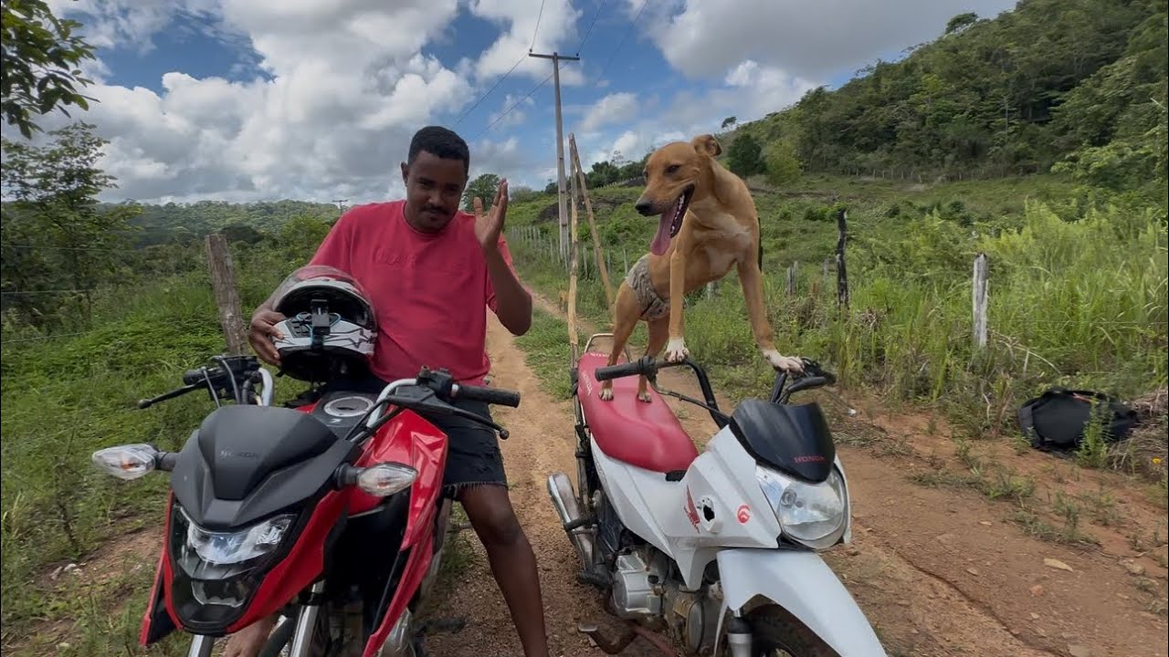 CACHORRO PILOTANDO MOTO 