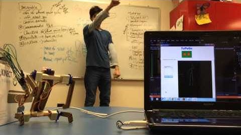 Mimicry Robot