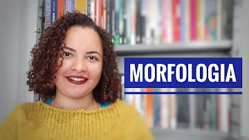 O que estuda a morfologia linguística Flexional?