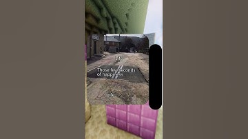 Puzzles - Funny Video - 1071