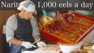 1000 Eels a Day: Inside Japan’s Most Explosive Eel Shop