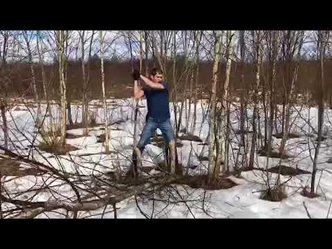 Посечение в Бибишках-2 с Fiskars XA23