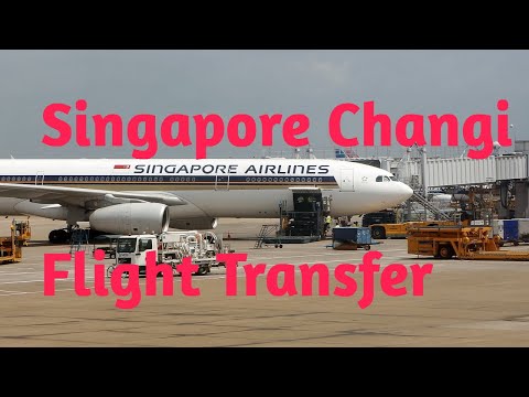 Video: Singapore Changi flygplatsguide