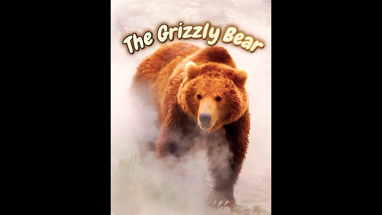 Grizzly Bear VS Salmon | Series 1 Episode 4 #motivation #survival #fyp #nature #wildlife #shorts