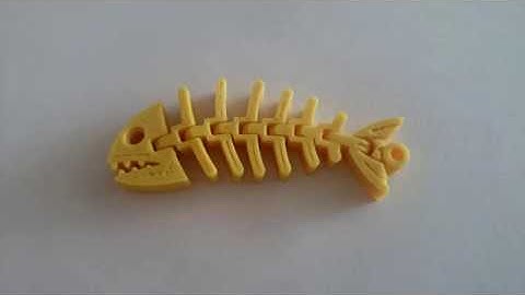 3D Printed Fish Skeleton #Anet A8