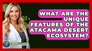 What Are The Unique Features Of The Atacama Desert Ecosystem? - Earth Science Answers