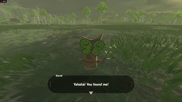 Zelda Breath of the wild 4K [Cemu 1.7.4d AMD rx480]