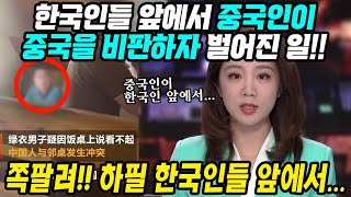 중국반응│한국인 앞에서 중국인이 중국을 비판하자 벌어진 일│21세기 현대판 홍위병 자간오│중국을 부정하는 모든 나라를 적으로 돌리는 그들의 용기│중국어로[路]