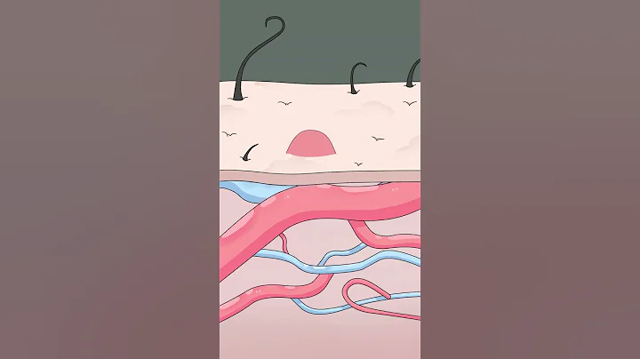 每次被蚊子咬都起大包是咋回事#蚊子叮咬 - 天天要闻